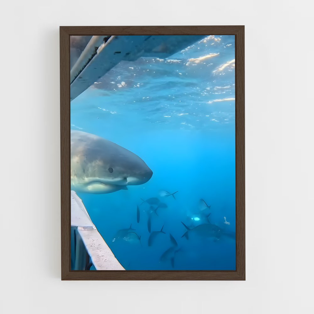Poster Rencontres Maritimes – affiche Plongée sous-marine (vue 5)
